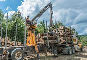 Transport de bois